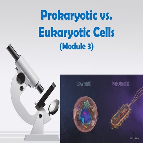 3. Prokaryotic vs. Eukaryotic Cells.pptx