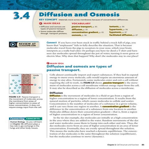 diffusion_and_osmosis biology for undergraduate