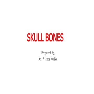 3. Skull.ppt skull bones for anatomy first | PPTX