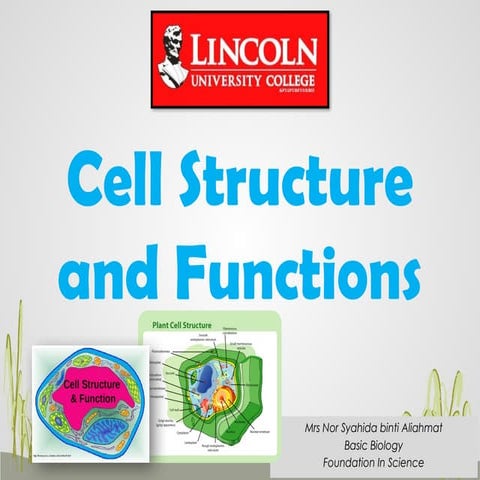 Comprehensive Overview of Cell Structure and Functions in Basic Biology ...