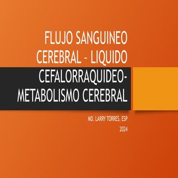 Comprehensive Overview of Cerebral Blood Flow, CSF Dynamics, and Brain ...