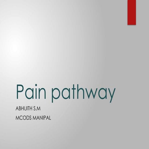 PAIN AND PAIN PATHWAYS | PPTX