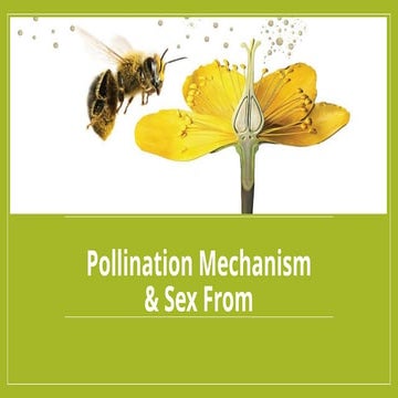 Comprehensive Overview of Pollination Mechanisms and Sex Expression in ...