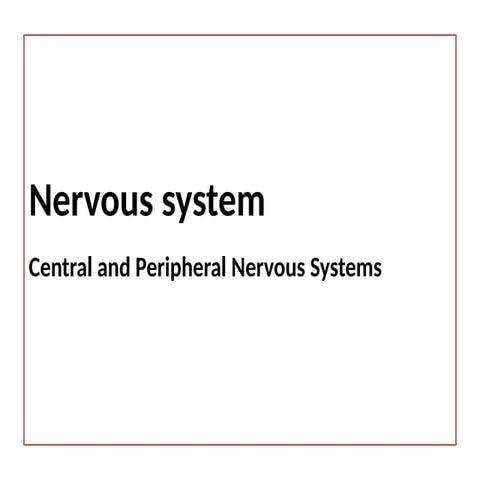 introduction to neurology (nervous system, areas, motor and sensory ...