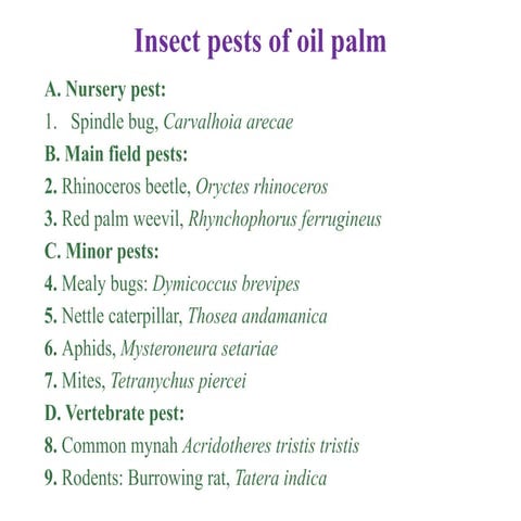 Comprehensive Guide to Arecanut Pests and Their Management | PPTX