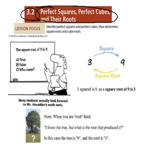 3.2 Square and Cube Roots notes 2 | PDF