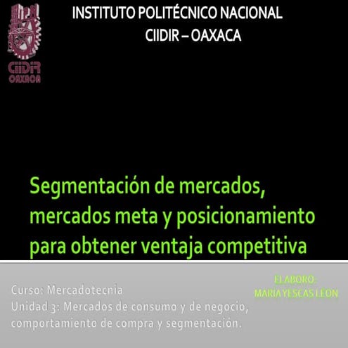 Segmentacion de mercados y posicionamiento | PPTX