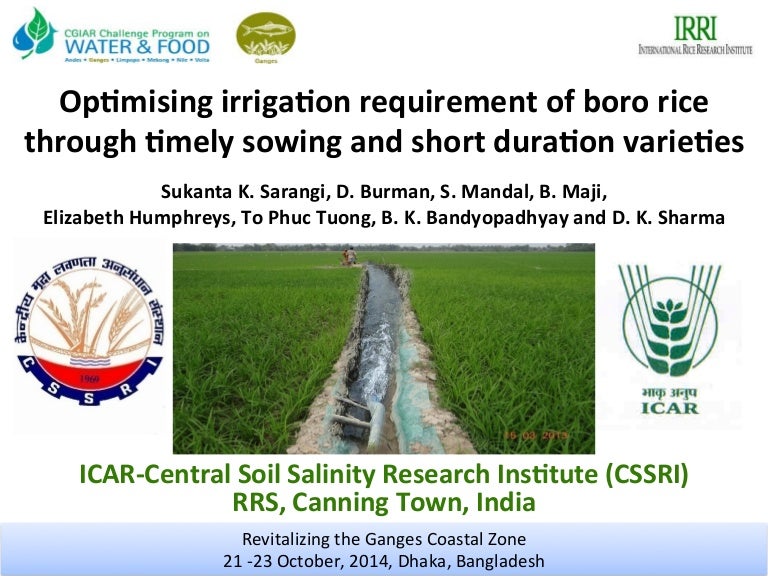 Optimising irrigation requirements of boro rice through timely sowing…