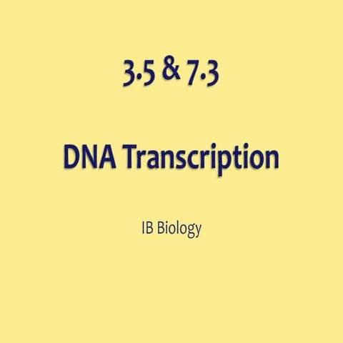 3.5 7.3 Dna Transcription