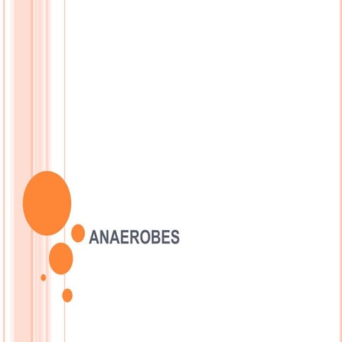 Anaerobes