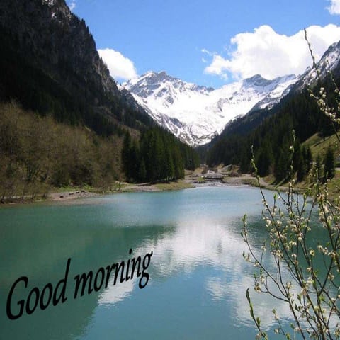 analgesics and dentistry