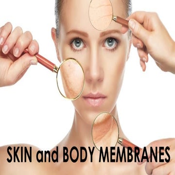 3-ANATOMY-2022-SKIN-AND-BODY-MEMBRANES.pptx