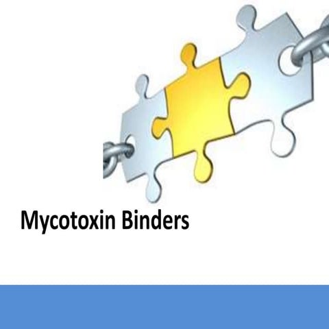 Antimycotoxin_Mycotoxin_Binders