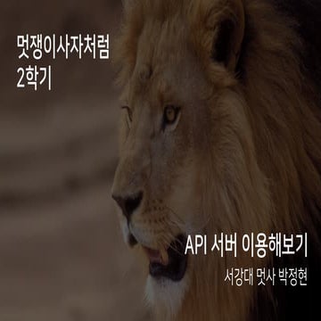 Naver API Guide | PDF