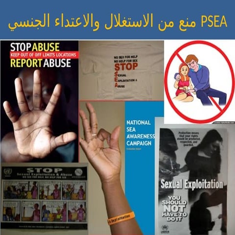 3-ARA_Content-of- for un Information.pptx