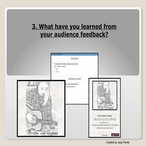 3. Audience Feedback