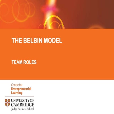 3. belbin team roles
