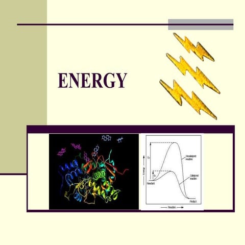 3 - Biochemical processes in cells
