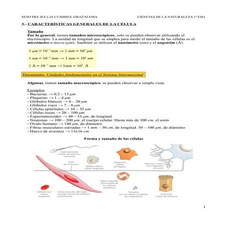 3.- Características generales de la célula