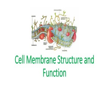 3-Cell-Membrane-Structure-and-Function.pdf
