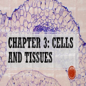 3-CELLsssS-AND-TISSUESssssssssssssss.pdf