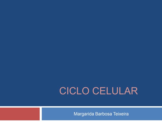 3  ciclo celular