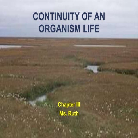 continuity of organism life