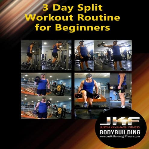 3 Day Split Workout Routine
