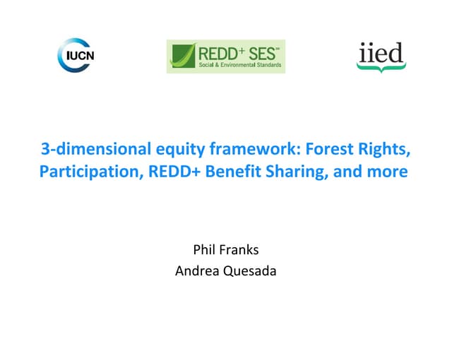 3 dimensional equity framework forest rights, participation, redd+ benefit sharing, and more