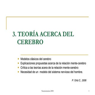 3. TEORIA ACERCA DEL CEREBRO