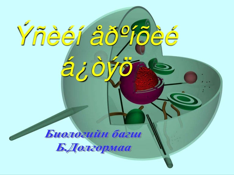 эсийн бүтэц