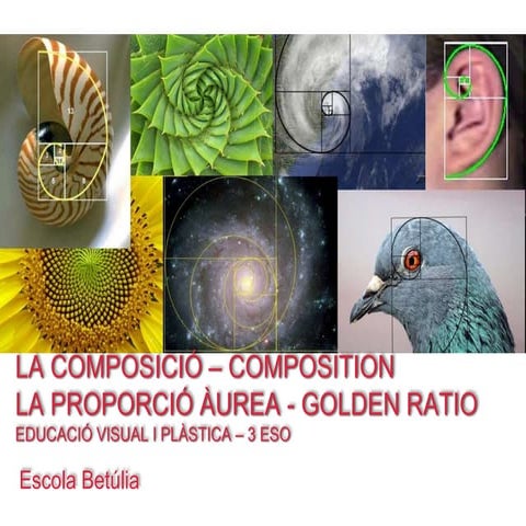 3 ESO - Visual i plàstica - La composició - La proporció àuria