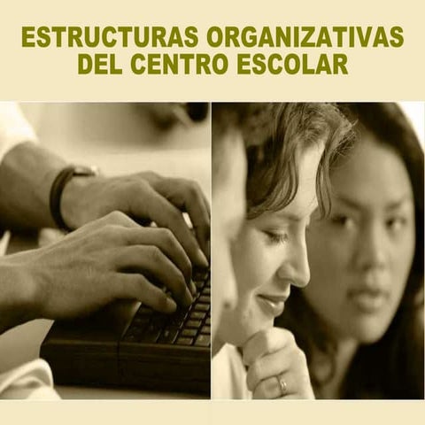 3  -estructura_organizativa