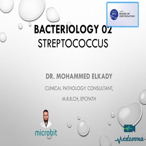 3-GPB Gram positive treptococcus bacteria
