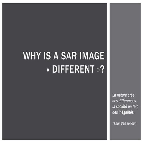 SAR image interpretation
