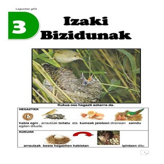 3 izaki bizidunak zubia santillana 3LH