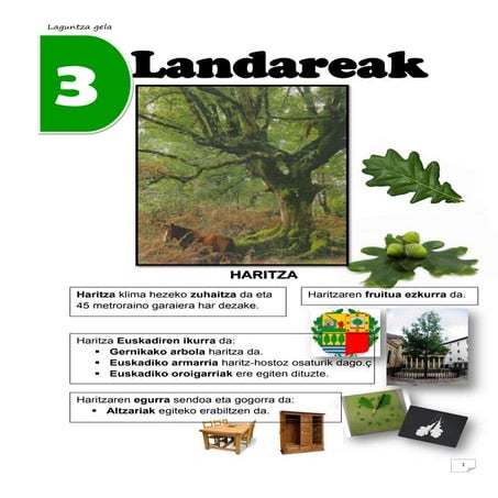 3  LANDAREAK   Zubia Santillana LH4