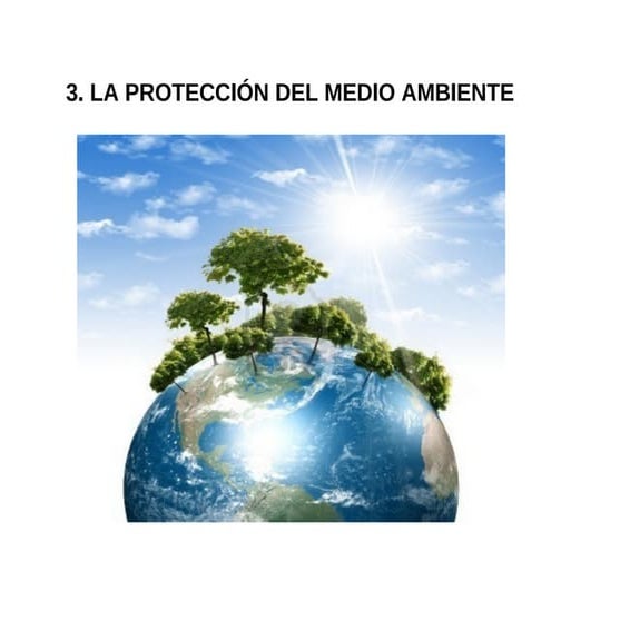 Tema 3 la protección del medio ambiente | PPT