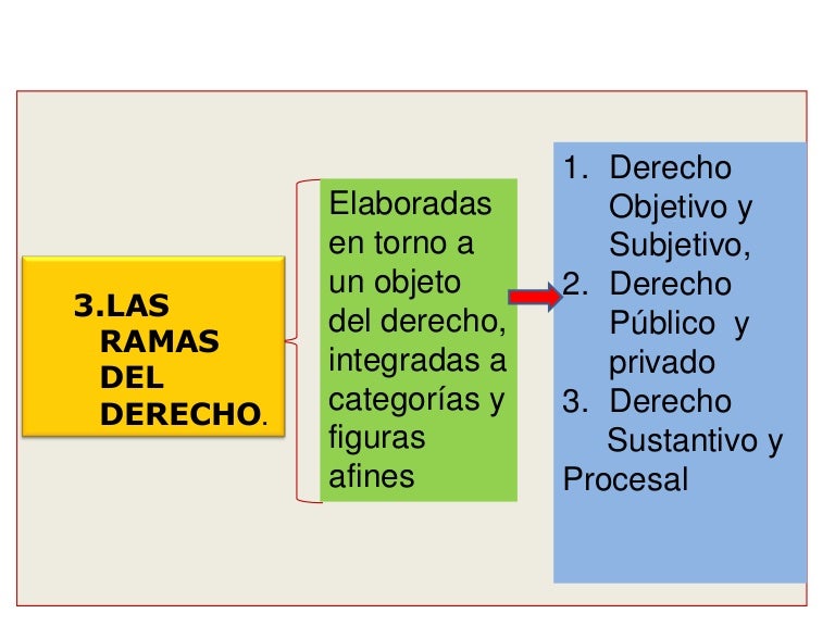 Las ramas del derecho Las ramas del derecho