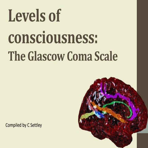 3 levels-of-consciousness-gcs