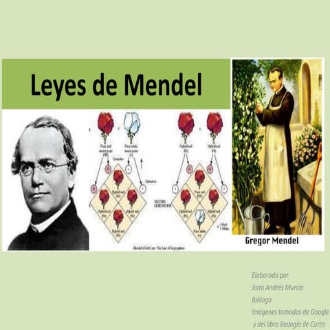 3. leyes de mendel