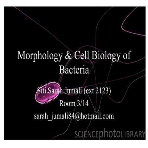 3 morphology & cell biology of bacteria