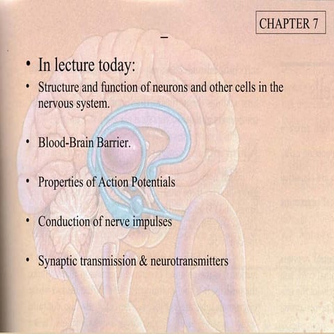 Lecture 3.. Dr. Hameed