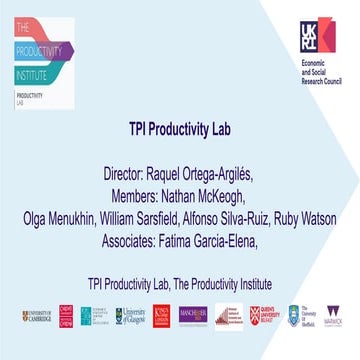 The TPI Productivity Lab - Ortega-Argiles | PDF