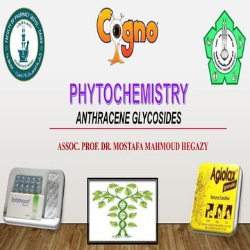 3-Phenolic glycosides - part 2 Anthracene glycosides .pptx