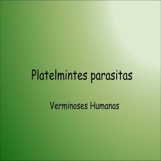 platelmintes parasitas