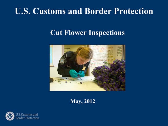 Inspección de flores, etiquetas y facturas. 