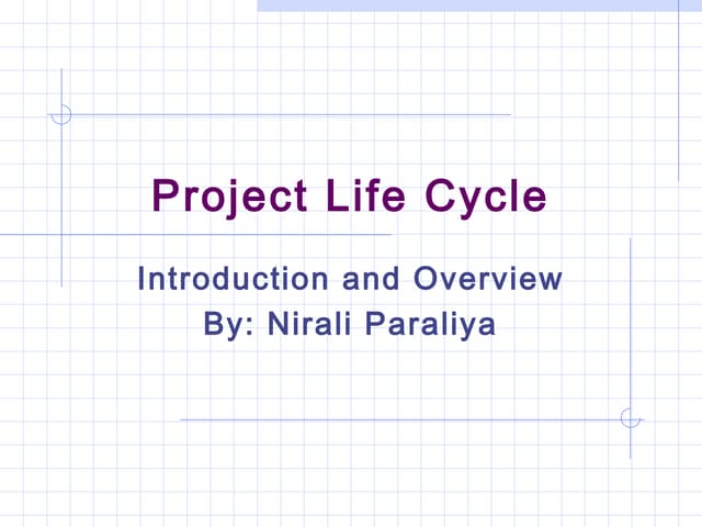 3   project life cycle