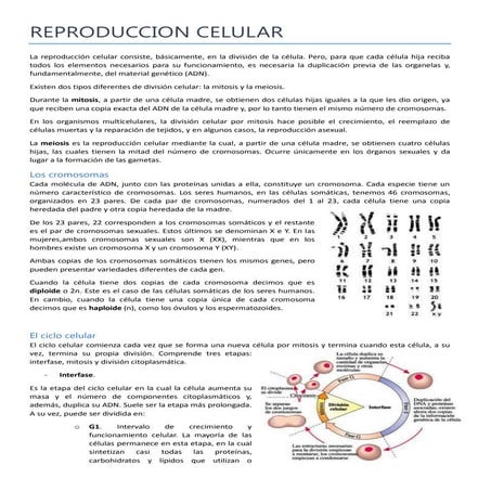 3º   reproduccion celular