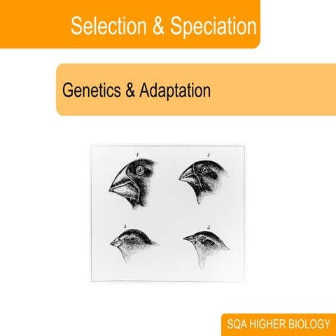 3. Selection & Speciation